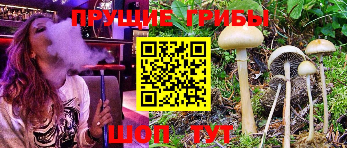 Псилоцибиновые грибы Magic Shrooms  Вход с VPN  Курск 