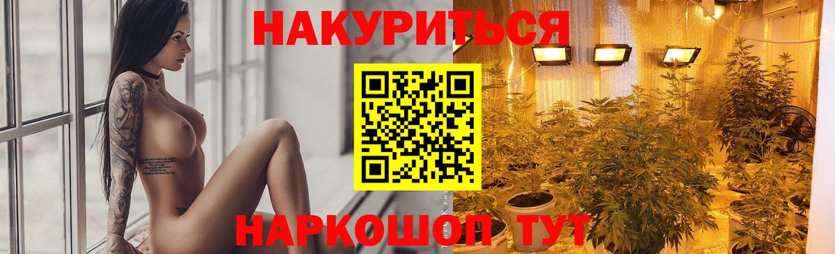 Курск  Бошки марихуана гибрид  Шишки марихуана семена  Марихуана конопля  Вход с VPN 